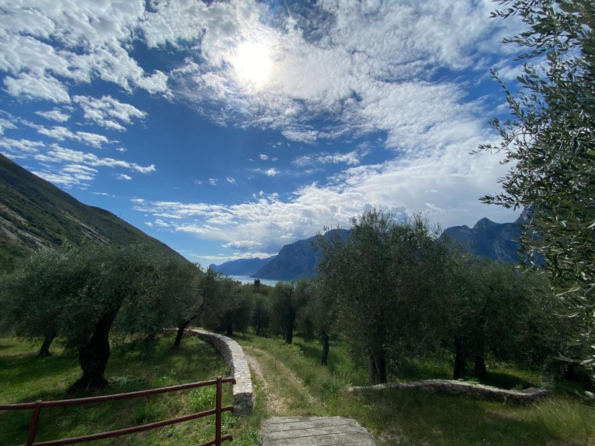 Garda Baldo Apartments_Vivaldi Torbole Sul Garda Εξωτερικό φωτογραφία